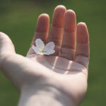 [Blogger Tipps] Aller Anfang ist schwer