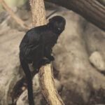 Wir waren im Zoo