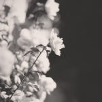 Bloggerschnack: Was würde mir ohne Bloggen fehlen?