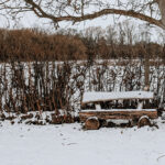 Schneesturm Elli – Wie wir den Tag verbracht haben