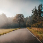 Fotografischer Herbstspaziergang: Tau, Nebel und Spinnenweben im Oktober